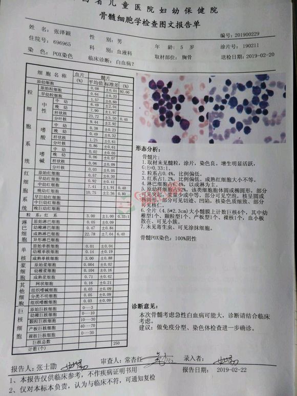 我侄子被检查出白血病了